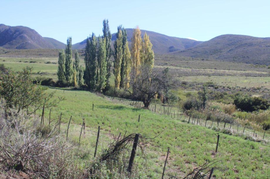 0 Bedroom Property for Sale in Haarlem Western Cape
